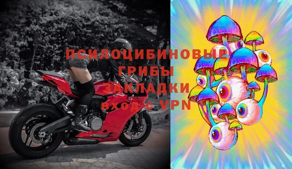 молекула духа Алексин
