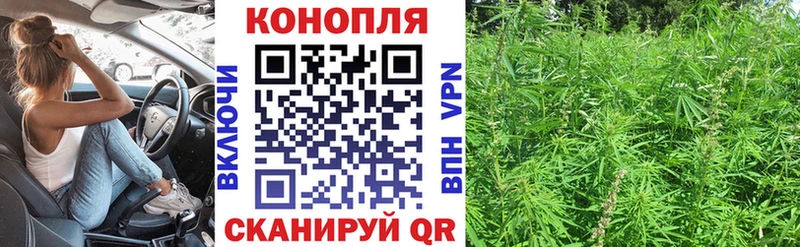 купить сайты Чистополь Шишки марихуана гибрид